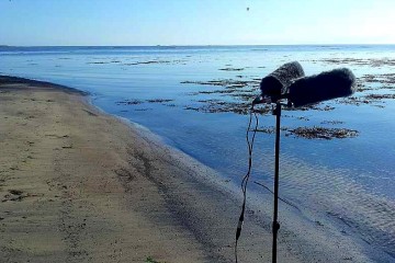 Mics-by-the-calm-North-Sea