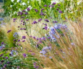 mediterraneen-jardin