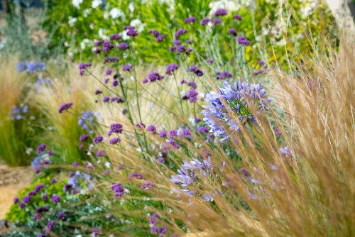 mediterraneen-jardin