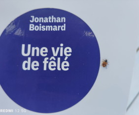 uneviede fêlé