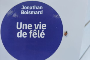 uneviede fêlé