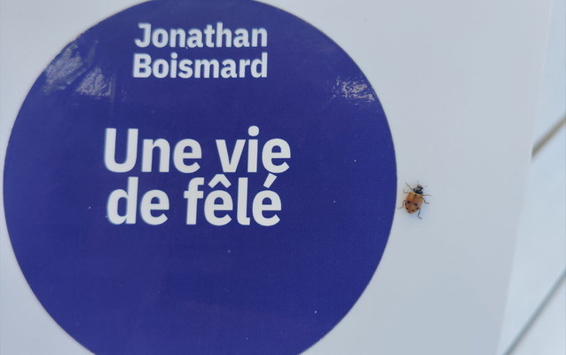 uneviede fêlé