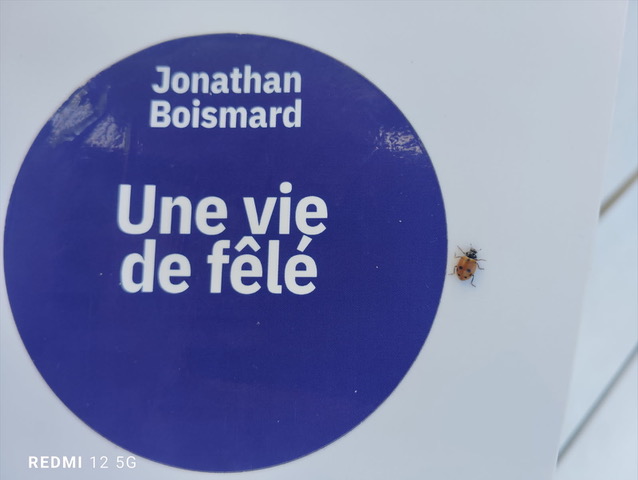 uneviede fêlé